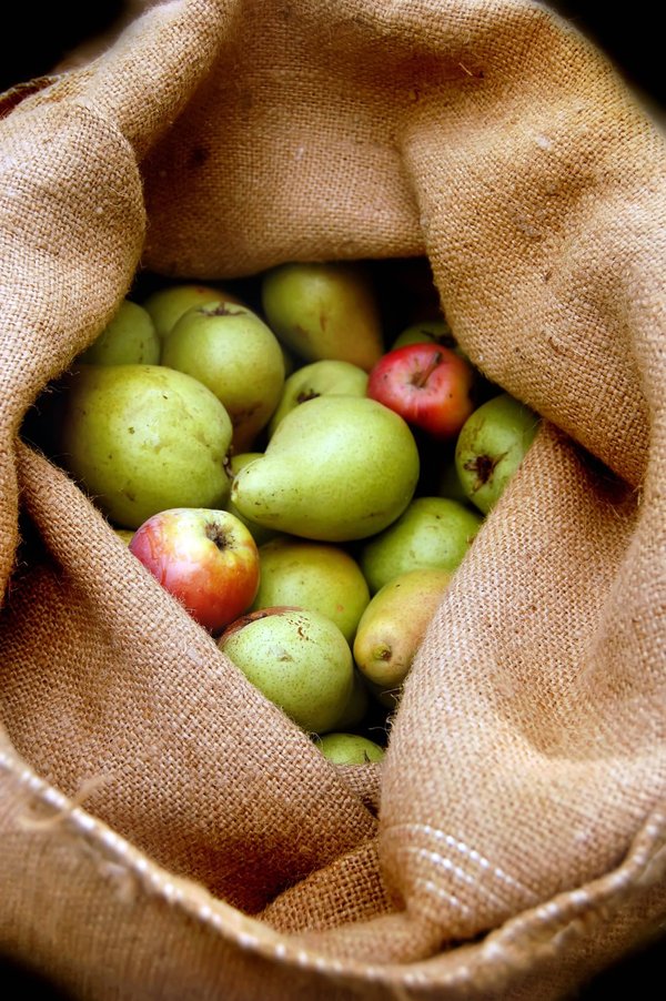 Quels sont les secrets pour préparer des goûters sains et appétissants pour les enfants après l'école ?