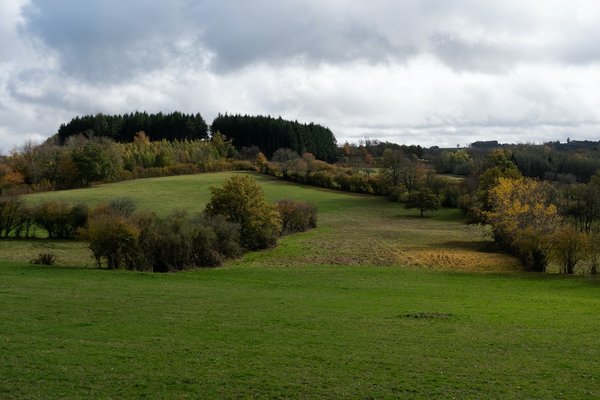 Quelles sont les astuces pour organiser une chasse au trésor historique dans votre ville ?