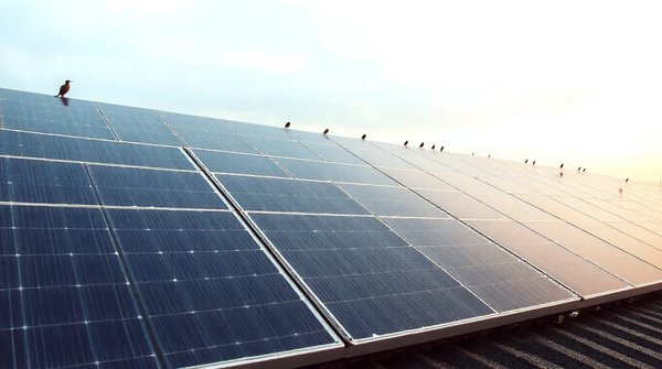 Panneaux solaires photovoltaïques : 5 avis clients à connaître